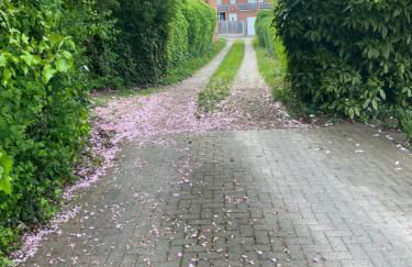 Peaceful, private, perfect home from home - Foto 8