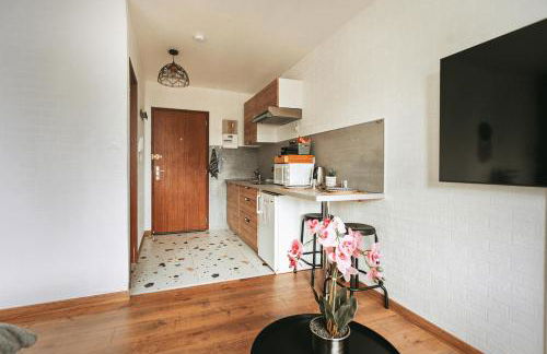 Studio côté nature - trois épis de Turckheim - Foto 14