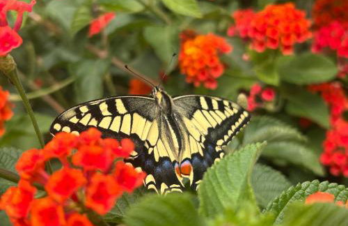 Agroturismo Matxani Gran - Foto 54