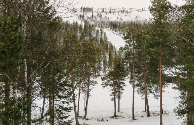 Hiihtogreeni a - Foto 32