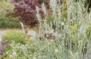 The Home House - Photo 27