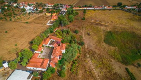 Santuário SOS Animal - Foto 2