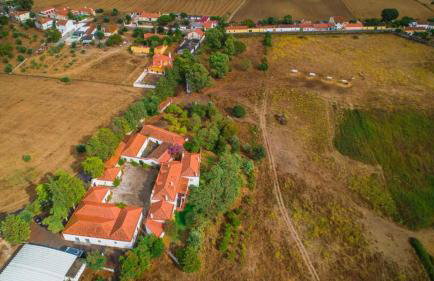 Santuário SOS Animal - Foto 2