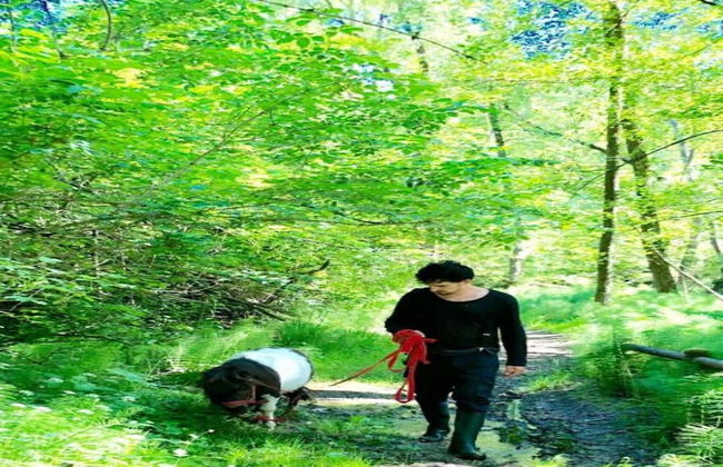 Gorgeous Vacation Home With Pool - Foto 32