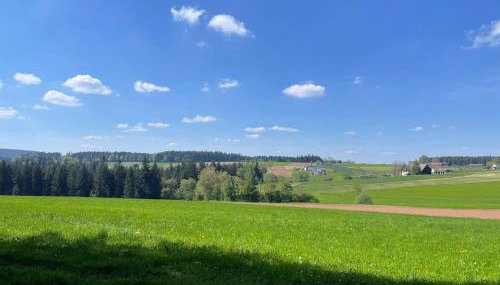 Schwarzwald - Modern mit Terrasse - Foto 4