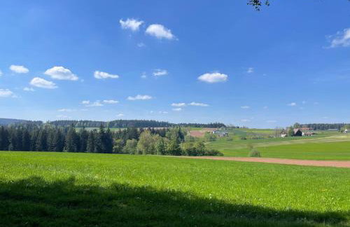 Schwarzwald - Modern mit Terrasse - Foto 4