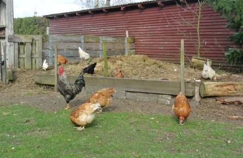 FEWO Elbe Weser - Foto 20