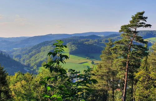 Odenwald-Lodge mit Infrarotsauna und E-Ladestation im Naturpark Odenwald "Haus Himmelblau" - Foto 23