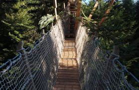 Cabanes des Volcans - Foto 32