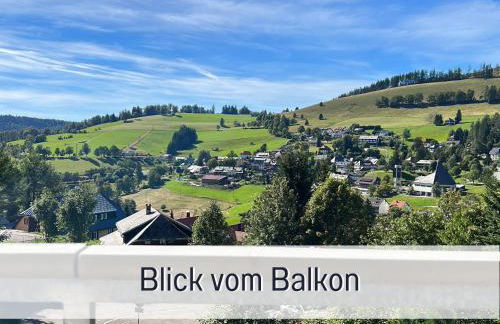 Fewo Herzgrün direkt an Wanderwegen mit traumhafter Aussicht Sauna E-Ladestation - Foto 21