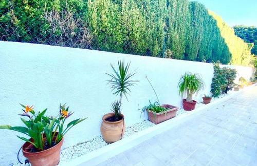 Casa Verde - Foto 20