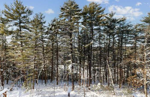 Chula Vista Condos, 2341 and 2343 - Foto 80