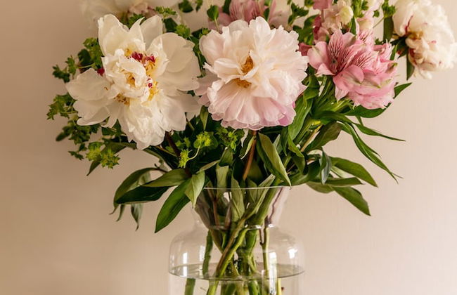 Maggie Puddle Cottage - Foto 17