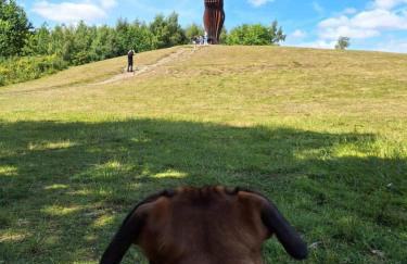 Your Home from Home - River bank - Foto 15