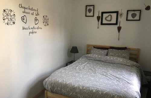 Appartement impeccable en centre ville - Foto 8