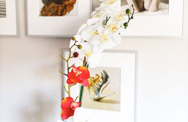 Chic Collection by NOHOTEL on PTree RD - Foto 66