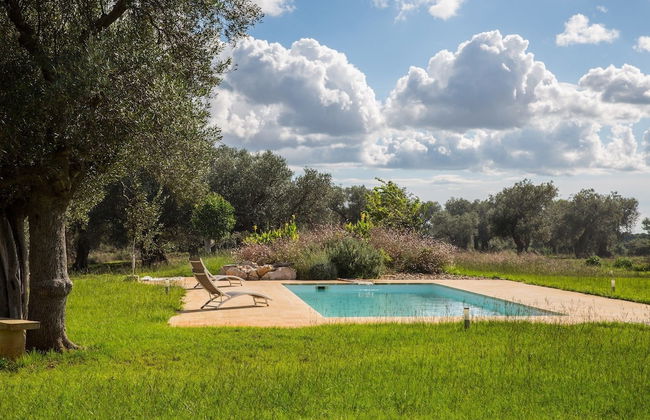 Azienda Agricola Spirdo - Foto 22