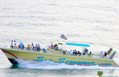 Top Of The Gulf 312 'The Tip-Sea Turtle' - Foto 42