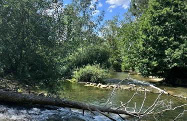 Home Antonin & Maye - Foto 32