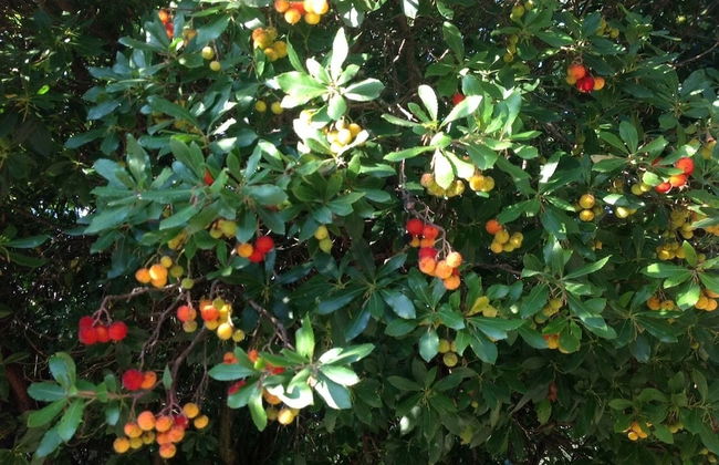 Agriturismo Ai Gradoni - Foto 25