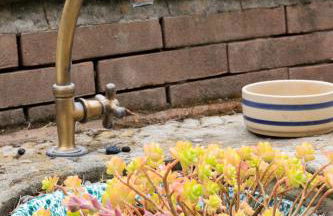 Agriturismo Il Calesse - Foto 12