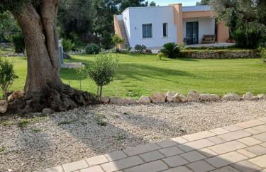 Villa mara - Foto 13