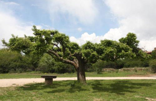 Casa Rural la Laguna - Foto 43