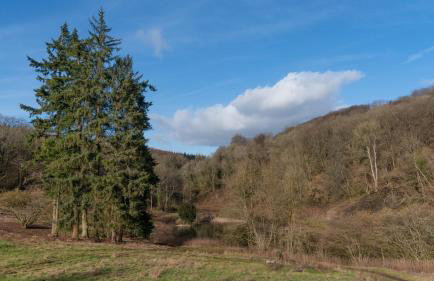 Betty Shepherd's Hut - Photo 4