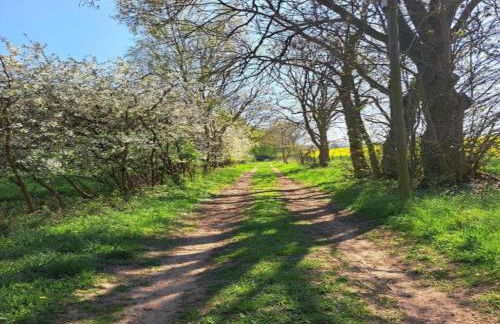 Wohnung nahe Ostsee Kühlungsborn - Foto 35