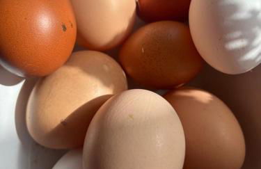 The Cottage - Foto 22