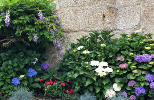 Casa da Ventozella - Photo 13