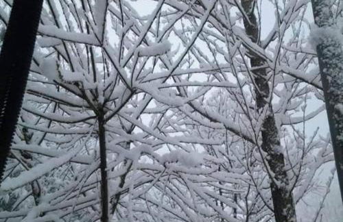 La Stella Alpina - Photo 33