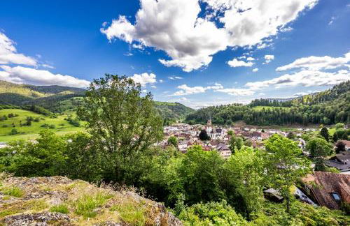 Ferienwohnung Bergzauber Schwarzwald - Foto 24
