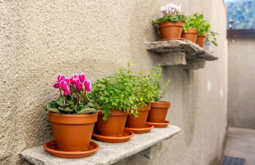 Villa Lilla Bellagio - Luxury Pool and Wine with Lake view - Foto 30