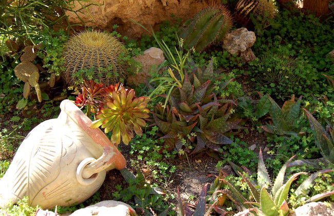 Il Giardino del sole - Foto 54