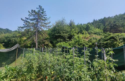 Apartment Betty - Photo 24