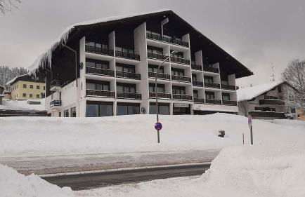 Apartmán Almberg - Mitterdorf - Mitterfirmiansrout - Foto 2