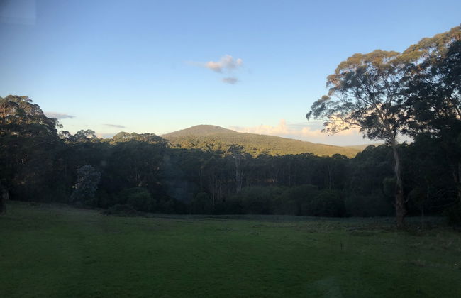 Turicum Chalets AT Monkey Rock Winery - Photo 32