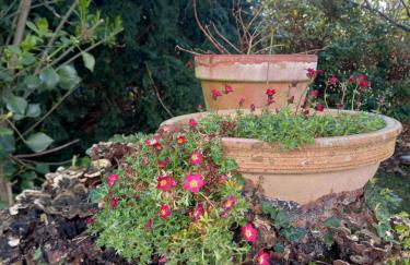 Errotazar apartamento M - Foto 23