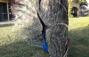 Relais Cascina San Martino - Foto 54