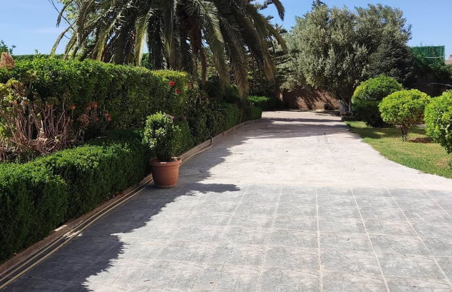 Villa L'orangeraie, Wilaya de Tlemcen - Photo 35