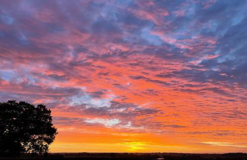 Briary Cottages at Iletts Farm - Photo 56