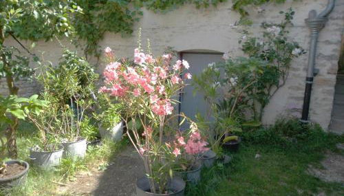 Les Trois Croix - Foto 4, Garden