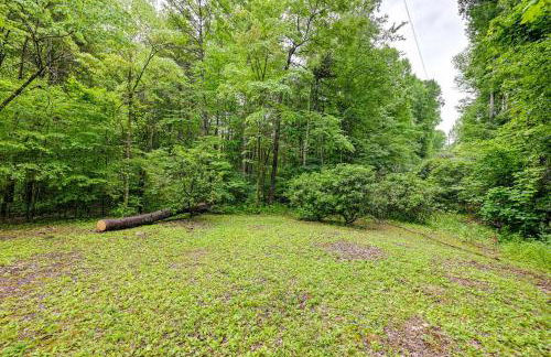 Creekside Cabin in Franklin about 8 Mi to Downtown! - Foto 27