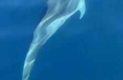 A La Plage - Foto 39