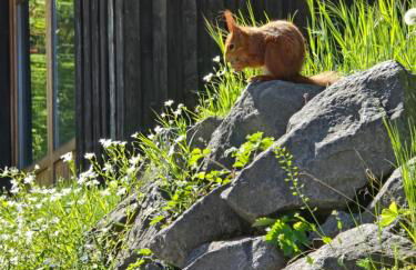 Fewo am Wingertsberg Glees Laacher See - Foto 22