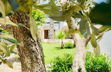 Trulli Ada - Foto 12