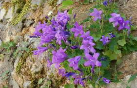 Gîte Ti-Gwennel - Photo 41