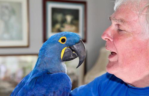 Bumble’s Barn - Foto 25