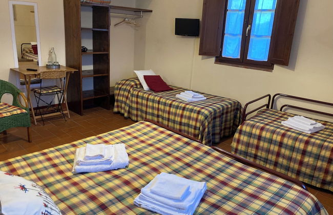 Fattoria Gambaro di Petrognano - Foto 15